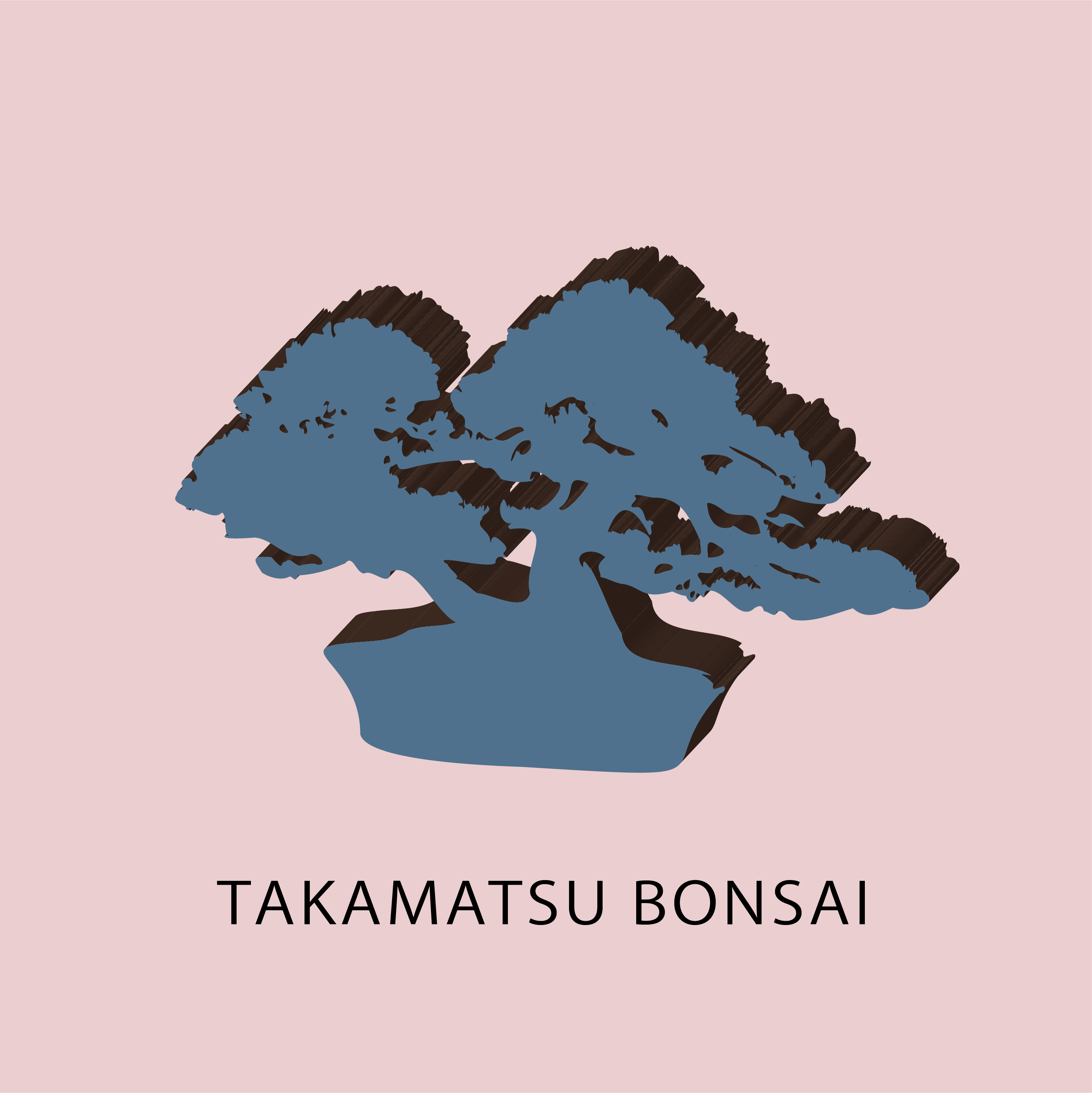 Takamatsu Bonsai アーティー